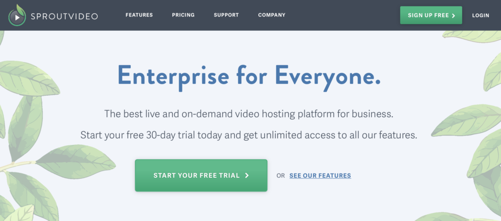 video hosting and live streaming for business